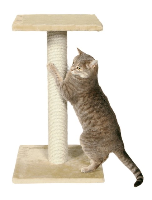 Alphapooch Purrfect Single Cat Scratch Post Black Fleece With