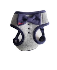 ellen degeneres dog harness