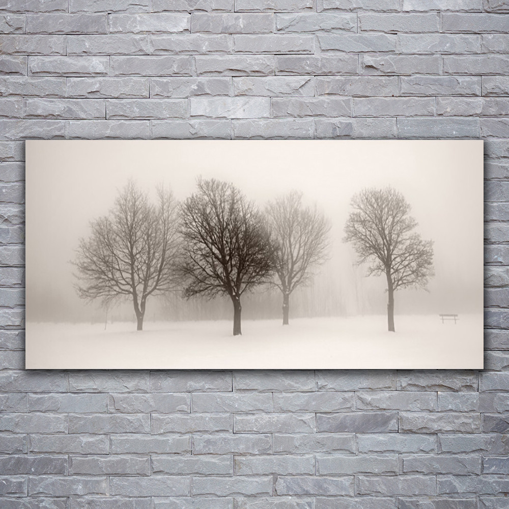 Tableau impression paysage arbres neige sur verre acrylique 120x60 pour déco murale