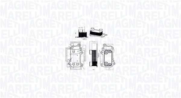 1X Magneti Marelli 350300003900 ÖLküHler MotoröL FüR Bmw-image