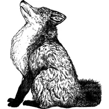 'Stretching Fox' Unmounted Rubber Stamp (RS023288)