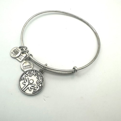 Alex and Ani +Energy Special Olympics silver tone charity charm bracelet - Picture 2 of 8
