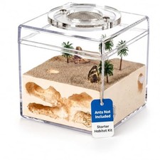 Ant Farm Starter Kit for Beginners  Hobbyist Formicarium Ants NOT Included