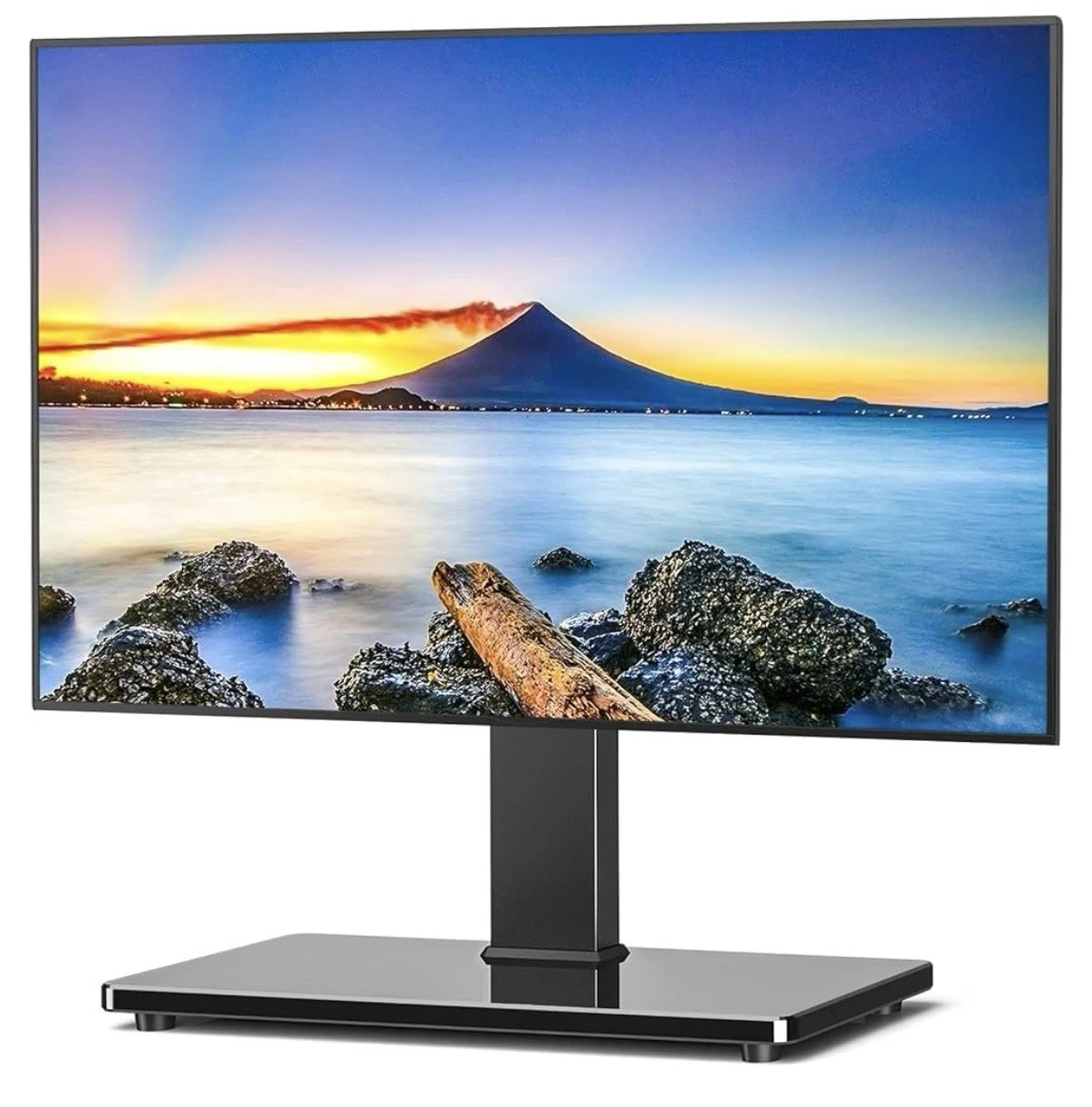 With 65 Inch Vesa Mount
