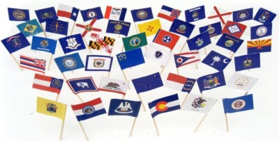 100 State Toothpick Flags, 2 Small Mini State Flag Cupcake Flags per State