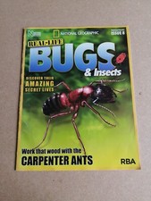National Geographic Bugs & Insects Magazine & Bug Issue 8 -Carpenter Ants /A-112