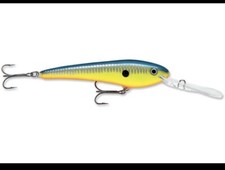 2 Pack - Rapala  Trolls-To 10  Minnow   TTM10                    Hot Steel