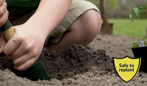 Weed Grass Killer Herbicide 16-ounce 41% Glyphosate Concentrate Compare-N-Save - Picture 5 of 8