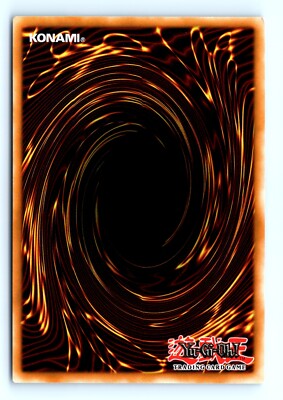 Yu-Gi-Uh Lord of the Tachyon Galaxy #LTGY-EN055 Harpie's Pet