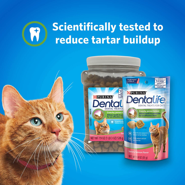 dentalife cat