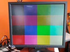 EIZO RadiForce R12 19" Class DVI 1280 x 1024 LCD Monitor w/ Stand