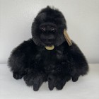 Foto 1 di 24
