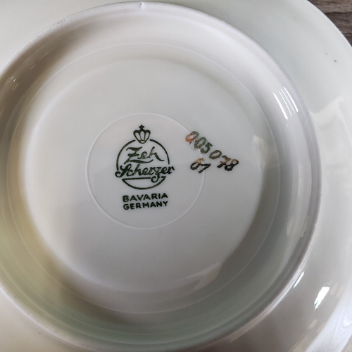 ZEH Scherzer Bavaria DEUTSCHLAND BLAU BLUMENDRUCK GOLDRAND TASSE & UNTERTASSE LESEN CHIP - Bild 13 von 15