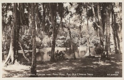 Silver Springs FL Old Moss Hung Cypress Trees  RPPC Vintage Postcard