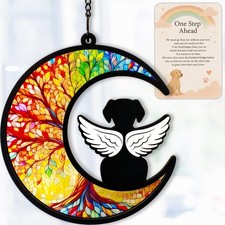 Dog Memorial Gifts for Loss of Dog Sympathy Remembrance Suncatcher, Angel Win...