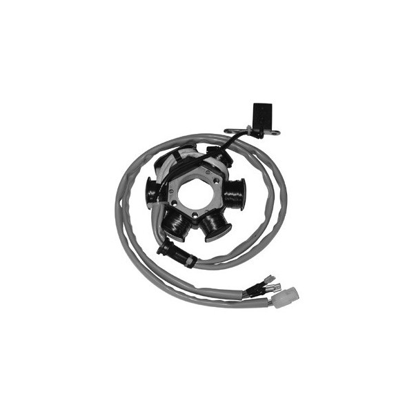 Stator Scooter Piaggio 50 2T (No Cat Handscanner Ersatzteile = 1630307-image