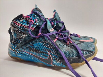 Size 9 - Nike LeBron 12 23 Chromosomes for sale online | eBay