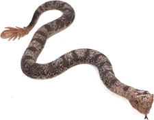 Rubber Snakes Fake Snake Lifelike Rubbe Snake - Keep Birds Away for Garden Scare