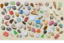 japanese sea glass Surf-Tumble Shell  Sea Glass  small