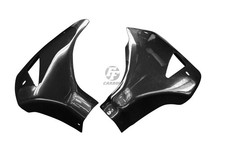 Carbon Bugspoiler für Honda CB 1000R 2008-2017
