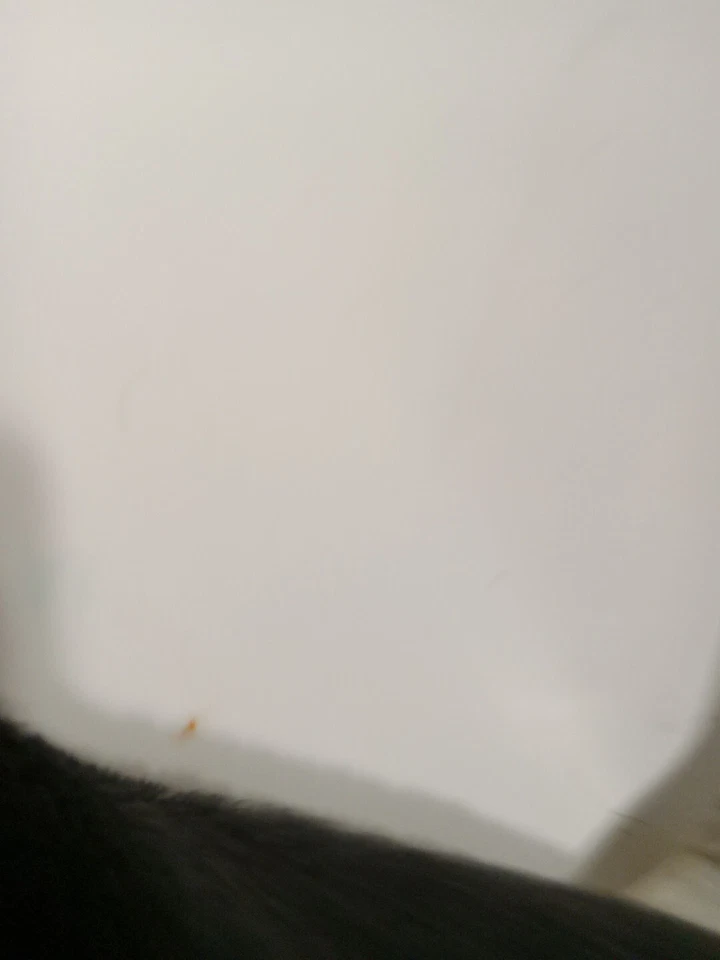 Trimble TrimTrac Pro 70200-00 Locator with Provisioning Module 54207-05 - Image 2 of 4