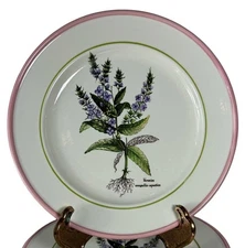 PRIMULA Italian Hand Painted Plate 8.5”  “VERONICA ANAGALLIS" Lot Set Of 2 Italy