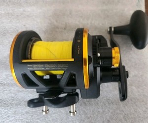 Penn Squall 20 Lw | eBay