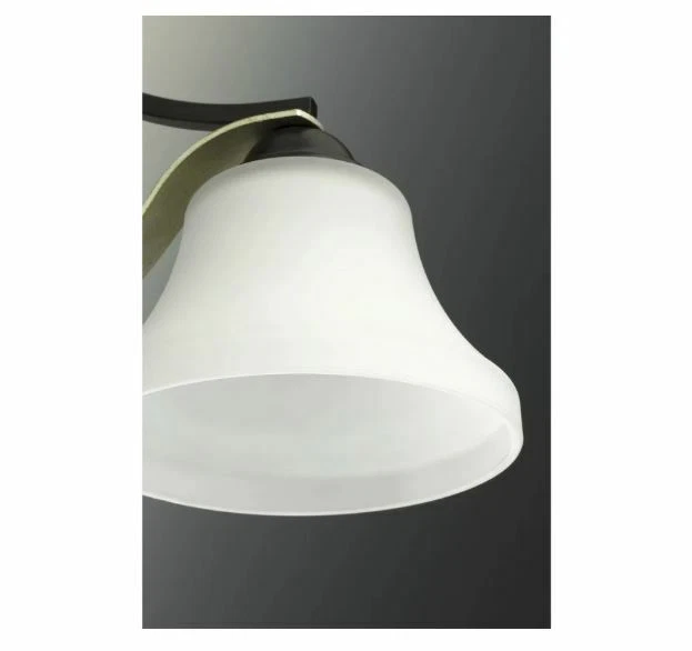 Progress Lighting P710005-020 Noma 1-Light 7-3/8"W Wall Sconce w/Etched Glass - Image 3 of 4