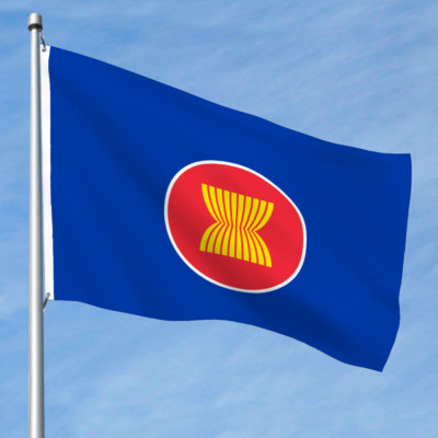 Flag of ASEAN Flag 2x3Ft 3X5Ft 4X6Ft 5X8Ft Banner Flags