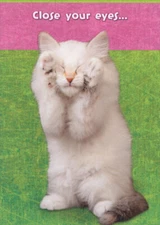 Designer Greetings White Cat Covering Eyes with Paws Cute Birthday Card