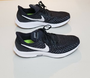 air zoom pegasus 35 mens