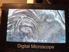 2025 Dime DoD — photo 4
