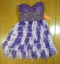 Brand New Dream Prom Purple Embellished Embroidered Feather Sweetheart Dress 6
