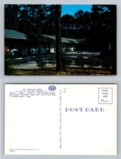 Mount Pleasant, SC-South Carolina, Mt Pleasant Motel Pine Trees Vintage Postcard