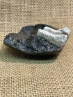 Dug Civil War Parrot Artillery Shell Nose Fragment With Partial Zinc Fuse Plug