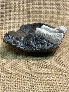 Dug Civil War Parrot Artillery Shell Nose Fragment With Partial Zinc Fuse Plug