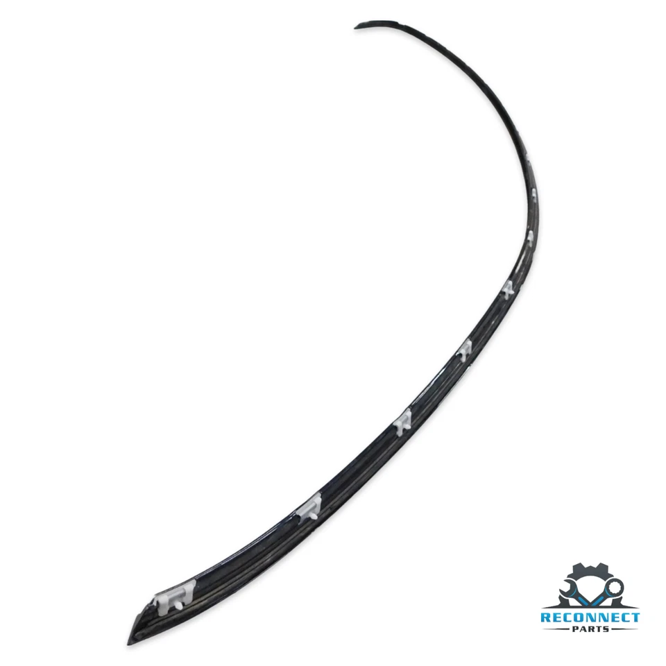 BMW 645Ci 650i M6 E63 2004-2010 cupé lado del conductor marco techo tira moldura fabricante de equipos originales Foto 3 de 4