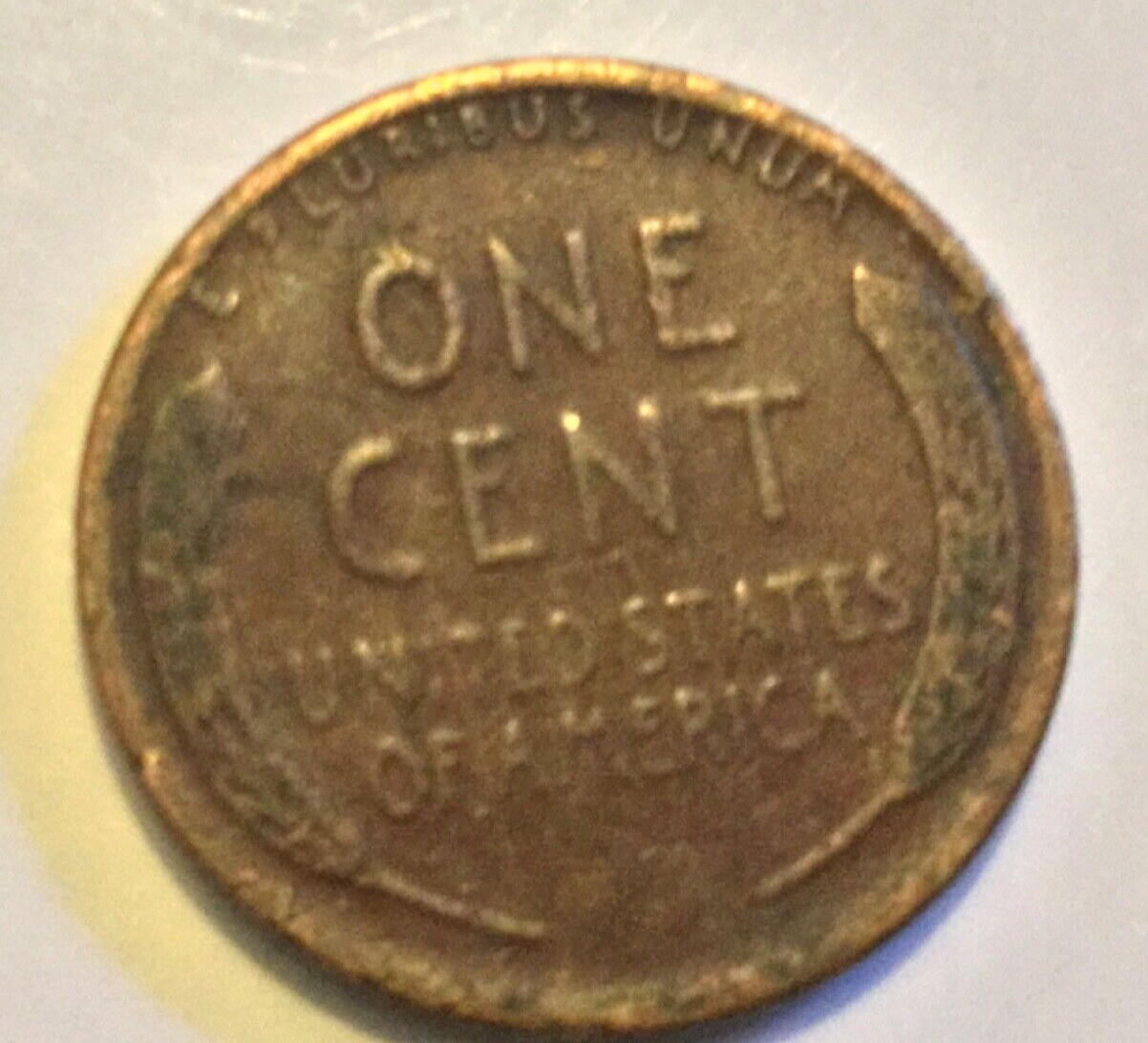 Picture 3 of 15