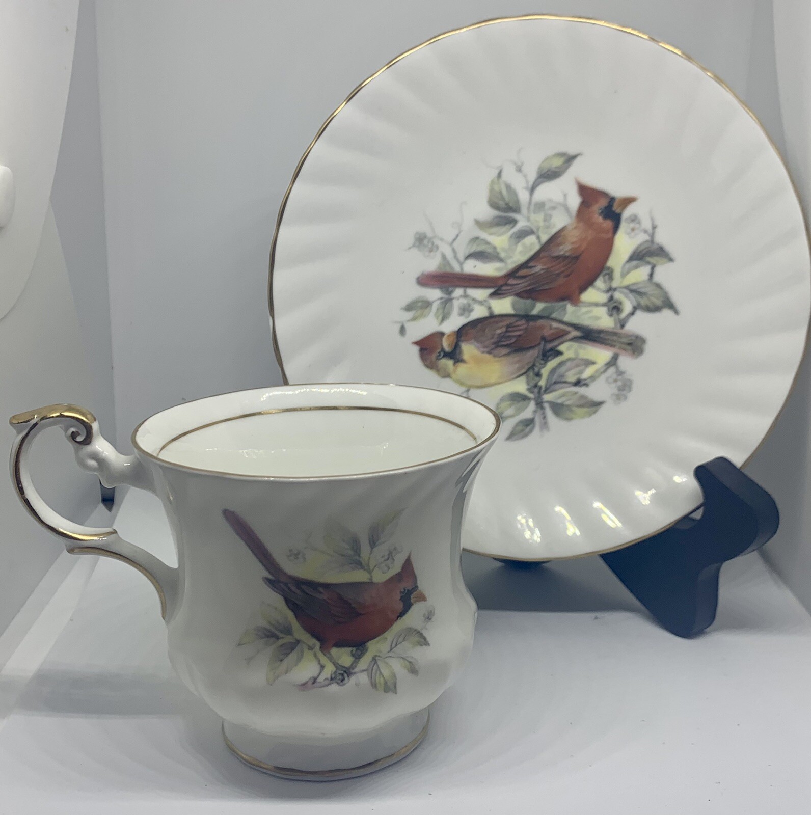 Queen's Fine Bone China Made in England tea cup and saucer BIRDS OF