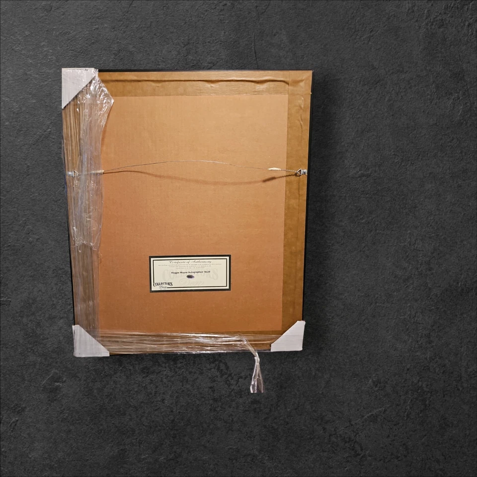 Reggie Wayne CD209528 16x20 亲笔签名和认证 — 第 4/4 张图片