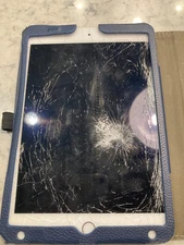 Apple iPad mini - White/Silver