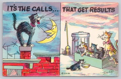 Postcard Comic Cat Wailing under Moon and Kittens Result 66X