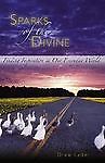 Sparks of the Divine: Finding Inspiration in - 1893732819, paperback, Drew Leder