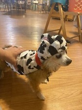 Pet Cow Costume-Dog Not Included Size Small