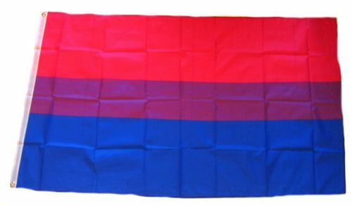 Flagge / Fahne Bi Pride Hissflagge 90 x 150 cm
