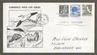 Canada first day cover, 335, 336, 343 animals, bird , unusual cachet [106