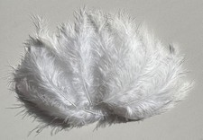 Marabou Feathers 20 or 40 In Pack 10cm to 15cm Fly Tying