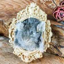 Mouse Head Mount Fridge Magnet Taxidermy Real Display Curiosities Oddities gift
