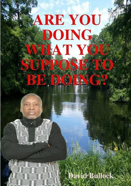 David Bullock | Are You Doing What You Suppose To Be Doing? | Taschenbuch (2019)-image
