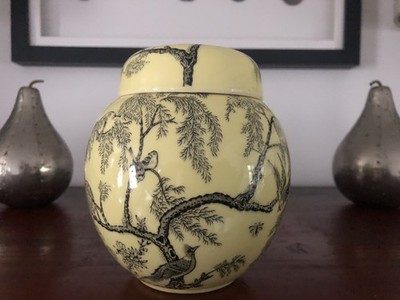 Mason's for Twinnings Ltd Yellow Willow Ingwer Glas Teedose ohne Deckel